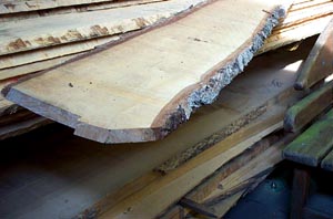 Holzbohle